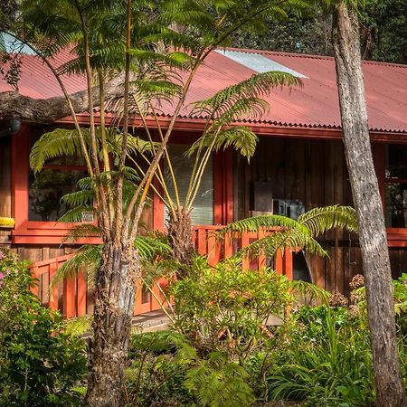 Crater Rim Cabin فولكانو المظهر الخارجي الصورة