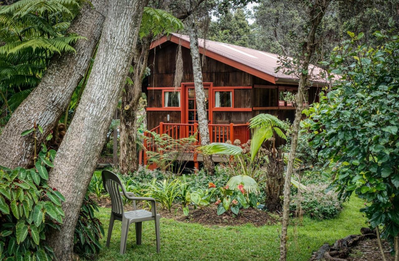 Crater Rim Cabin فولكانو المظهر الخارجي الصورة