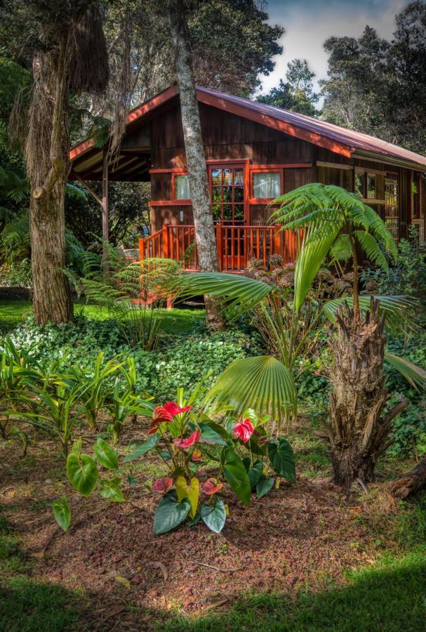 Crater Rim Cabin فولكانو المظهر الخارجي الصورة